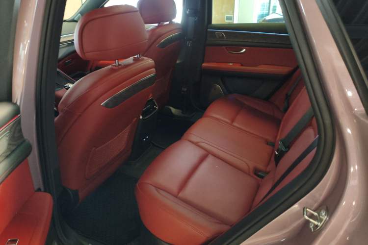 Used Hima AITO M5 2022 Pure Electric All-Wheel-Drive Performance Edition Left Rear Seat