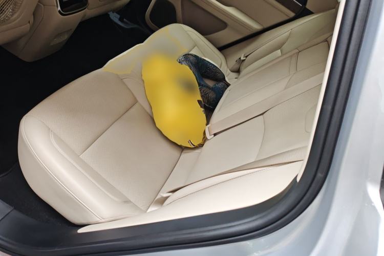 Used Hima AITO M5 2022 Range-Extended Rear-Drive Standard Version Left Rear Seat