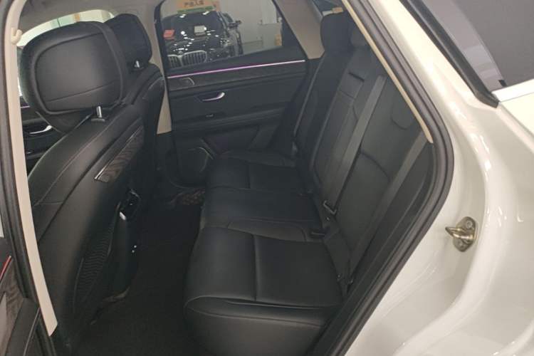 Used Hima AITO M5 2022 Extended-Range Four-Wheel Drive Performance Version Left Rear Seat