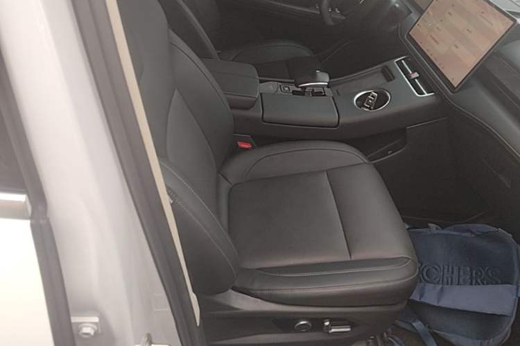 Used Hima AITO M5 2022 Range-Extended Rear-Drive Standard Version Right Front Seat