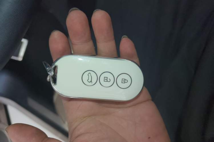 Used Hima AITO M5 2022 Pure Electric Rear-Drive Standard Edition Vehicle Key
