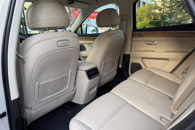 Used Hima AITO M5 2023 Extended-Range Four-Wheel Drive Intelligent Driving Version Left Rear Seat