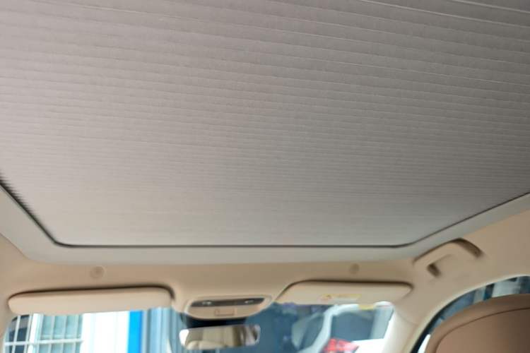 Used Hima AITO M5 2024 Extended-Range Max RS Four-Wheel Drive Advanced Intelligent Driving Version Headliner