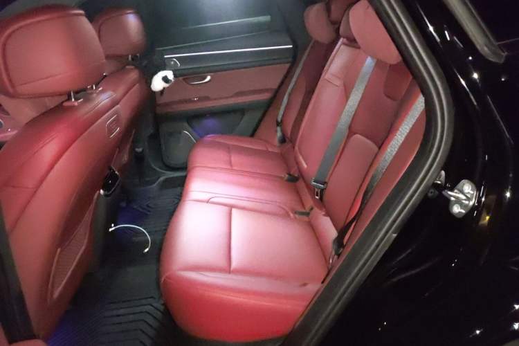 Used Hima AITO M5 2024 Extended-Range Max RS Four-Wheel Drive Advanced Intelligent Driving Version Left Rear Seat