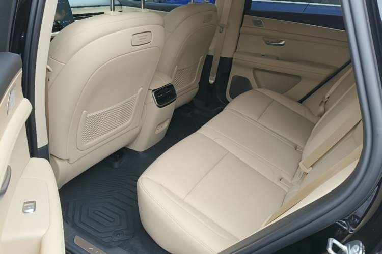 Used Hima AITO M5 2024 Extended-Range Max Rear-Wheel Drive Advanced Intelligent Driving Version Left Rear Seat
