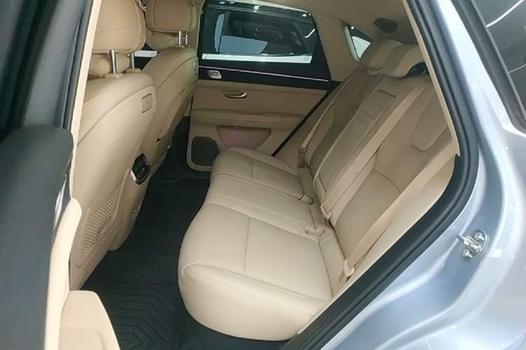 Used Hima AITO M5 2024 Extended-Range Max Rear-Wheel Drive Advanced Intelligent Driving Version Left Rear Seat