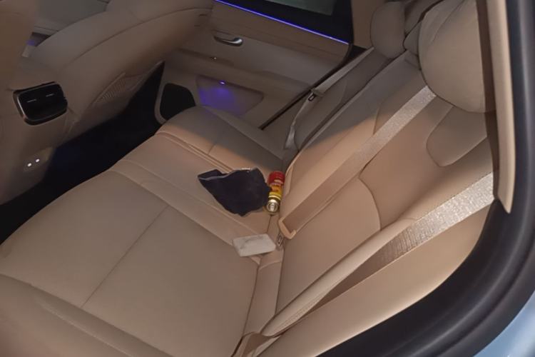 Used Hima AITO M5 2024 Extended-Range Max Rear-Wheel Drive Advanced Intelligent Driving Version Left Rear Seat