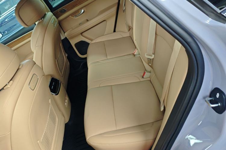 Used Hima AITO M5 2024 Extended-Range Max RS Four-Wheel Drive Advanced Intelligent Driving Version Left Rear Seat