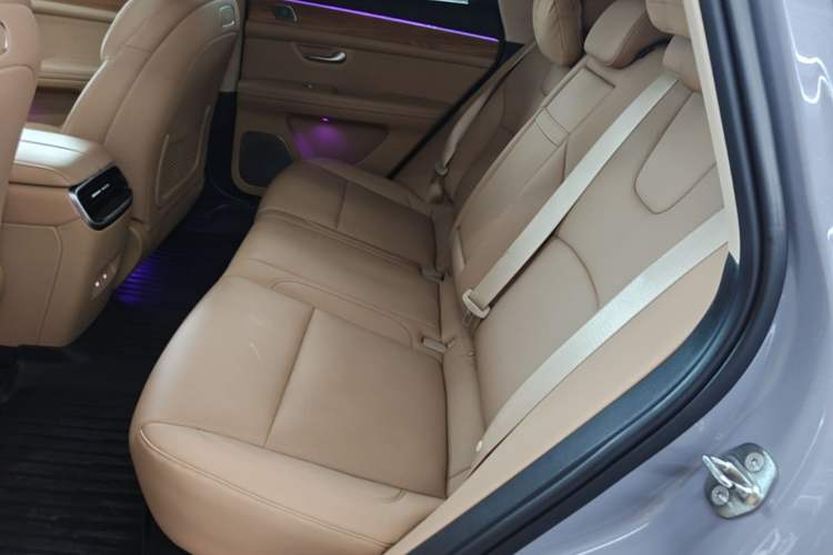 Used Hima AITO M5 2024 Extended-Range Max Rear-Wheel Drive Advanced Intelligent Driving Version Left Rear Seat