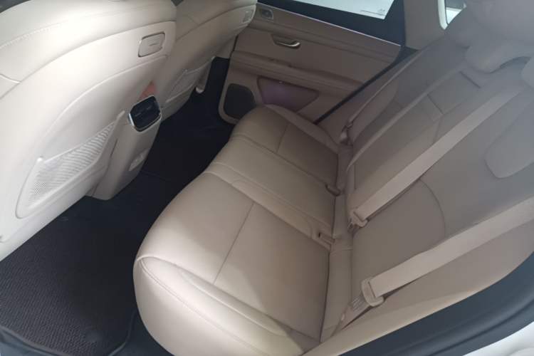 Used Hima AITO M5 2024 Extended-Range Max Rear-Wheel Drive Advanced Intelligent Driving Version Left Rear Seat