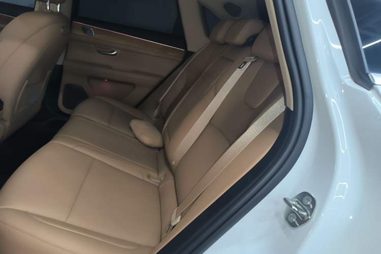 Used Hima AITO M5 2024 Extended-Range Max Rear-Wheel Drive Advanced Intelligent Driving Version Left Rear Seat