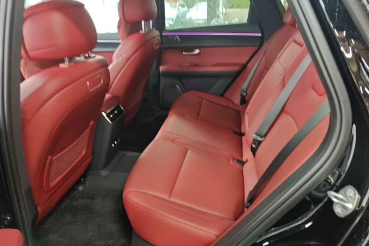 Used Hima AITO M5 2025 Extended-Range Ultra Rear-Wheel-Drive Version Left Rear Seat