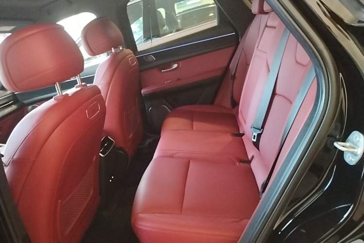 Used Hima AITO M5 2025 Extended-Range Ultra Rear-Wheel-Drive Version Left Rear Seat