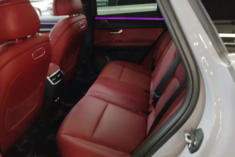 Used Hima AITO M5 2025 Extended-Range Ultra All-Wheel-Drive Version Left Rear Seat