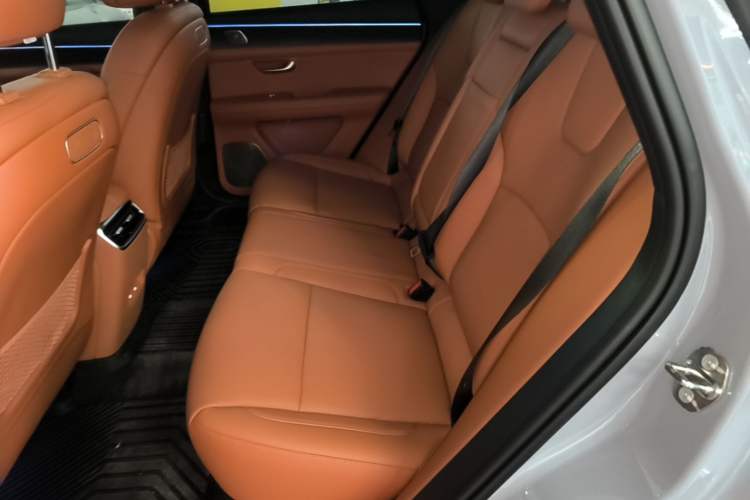 Used Hima AITO M5 2025 Extended-Range Ultra All-Wheel-Drive Version Left Rear Seat