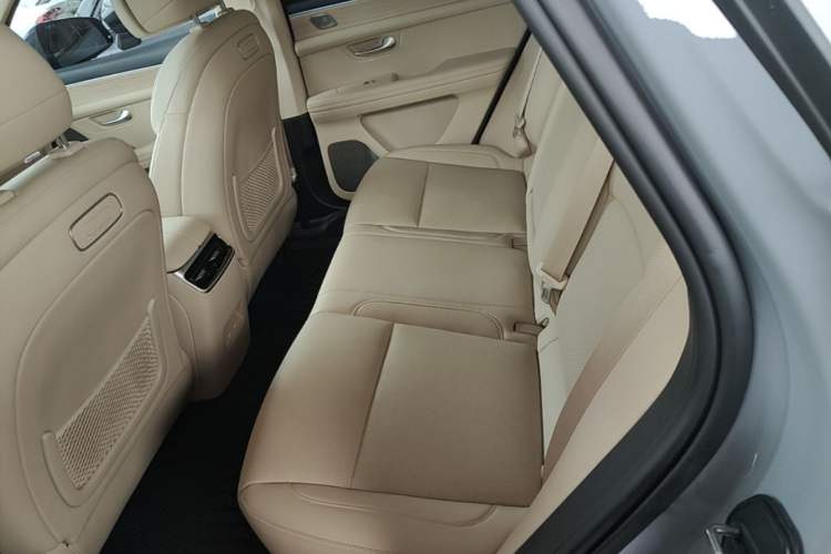 Used Hima AITO M5 2025 Extended-Range Ultra Rear-Wheel-Drive Version Left Rear Seat