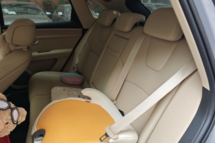 Used Hima AITO M5 2025 All-Electric Ultra Rear-Wheel-Drive Version Left Rear Seat