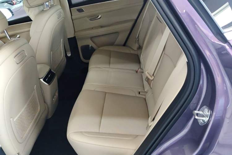 Used Hima AITO M5 2025 Extended-Range Ultra All-Wheel-Drive Version Left Rear Seat