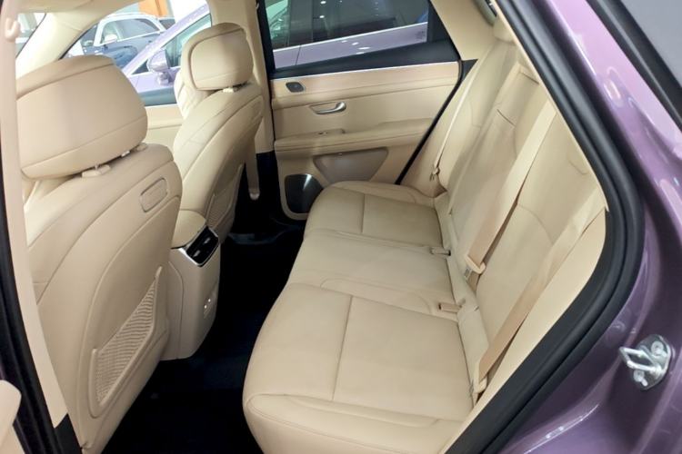 Used Hima AITO M5 2025 Extended-Range Ultra All-Wheel-Drive Version Left Rear Seat