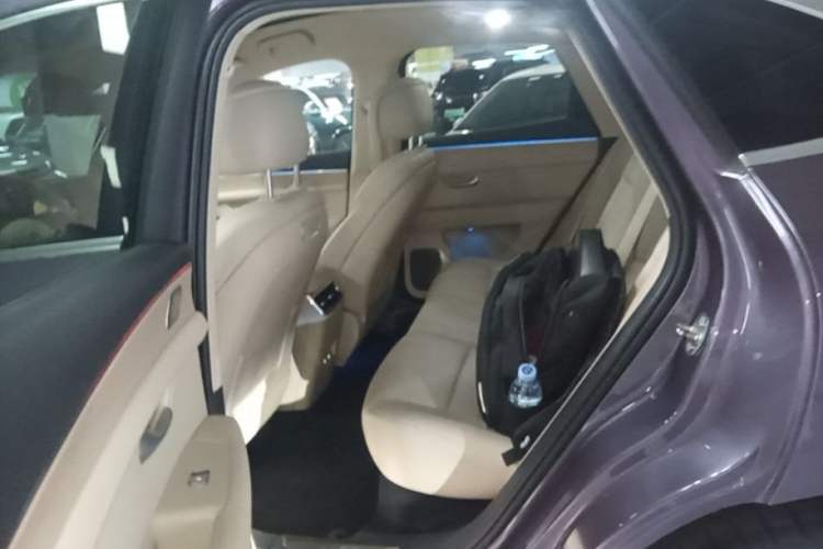 Used Hima AITO M5 2025 Extended-Range Ultra All-Wheel-Drive Version Left Rear Seat