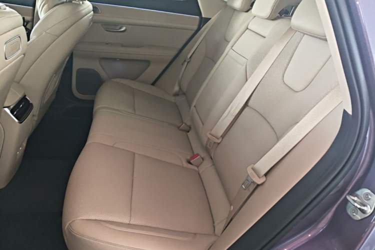 Used Hima AITO M5 2025 Extended-Range Ultra All-Wheel-Drive Version Left Rear Seat