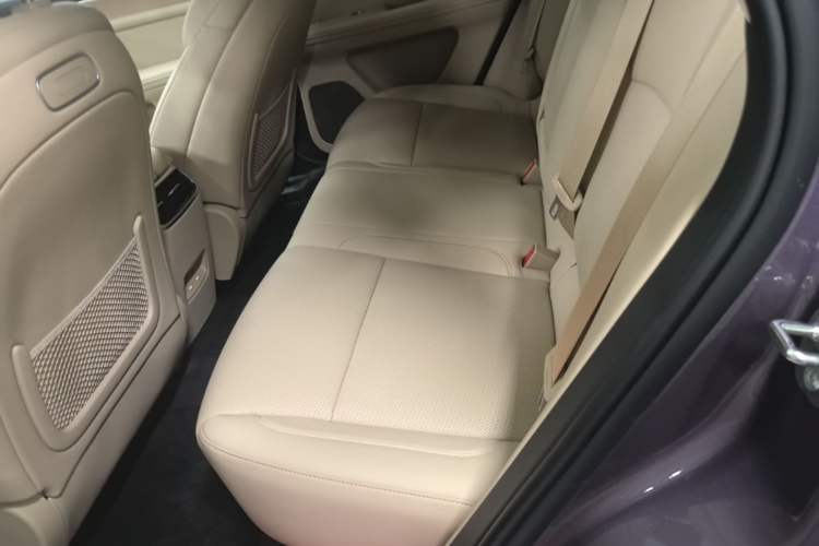 Used Hima AITO M5 2025 Extended-Range Ultra All-Wheel-Drive Version Left Rear Seat