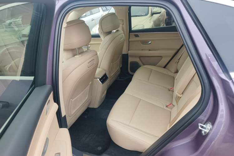 Used Hima AITO M5 2025 Extended-Range Ultra All-Wheel-Drive Version Left Rear Seat