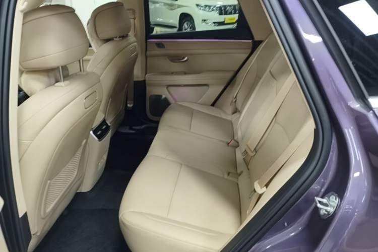 Used Hima AITO M5 2025 Extended-Range Ultra All-Wheel-Drive Version Left Rear Seat