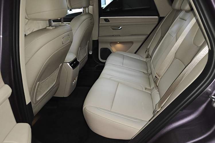Used Hima AITO M5 2025 Extended-Range Ultra All-Wheel-Drive Version Left Rear Seat