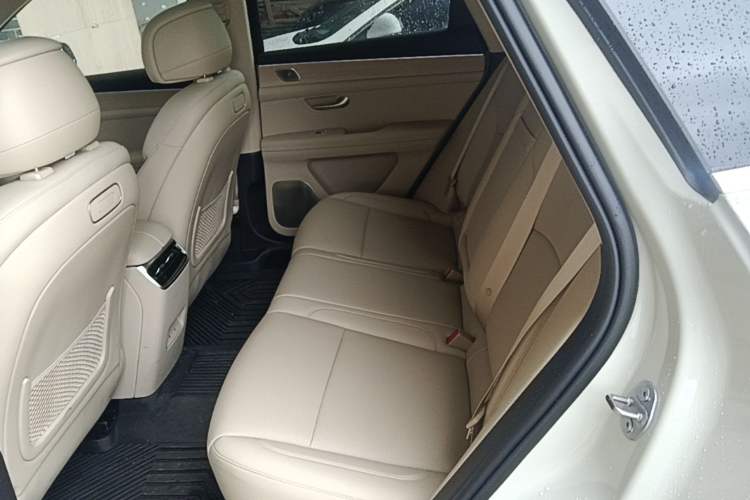 Used Hima AITO M5 2025 All-Electric Ultra Rear-Wheel-Drive Version Left Rear Seat