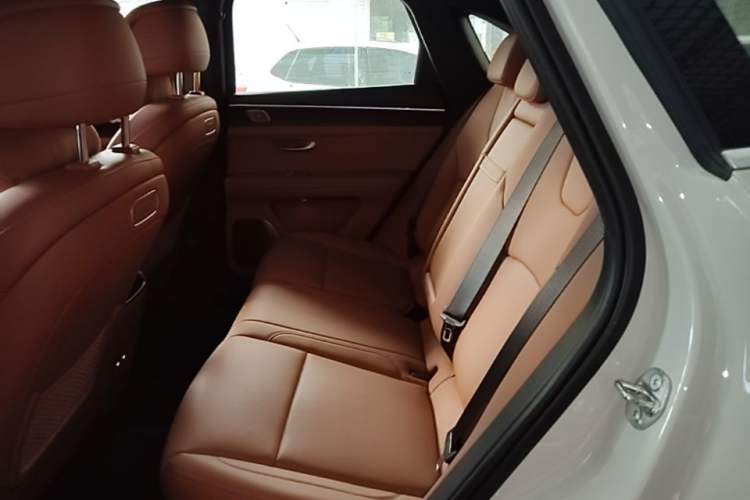Used Hima AITO M5 2025 Extended-Range Ultra All-Wheel-Drive Version Left Rear Seat