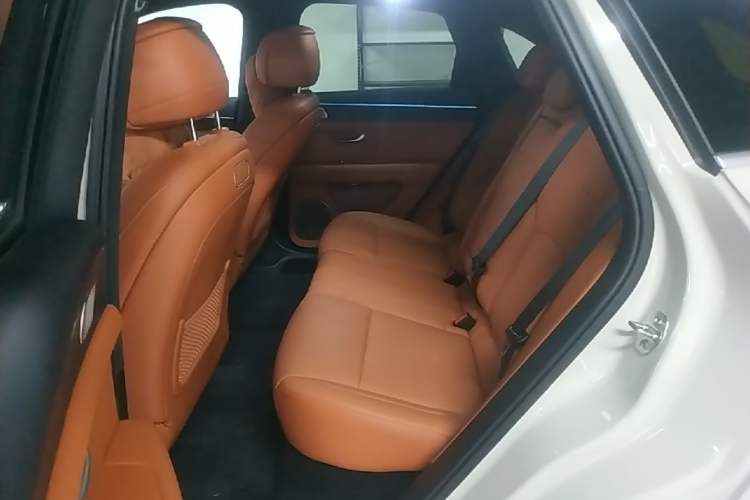 Used Hima AITO M5 2025 Extended-Range Ultra All-Wheel-Drive Version Left Rear Seat