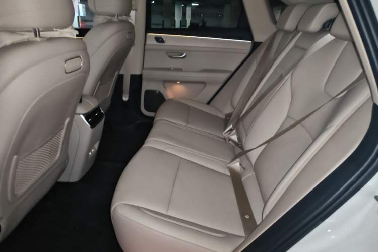 Used Hima AITO M5 2025 Extended-Range Ultra All-Wheel-Drive Version Left Rear Seat