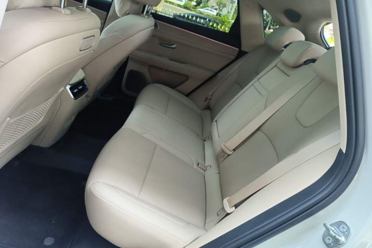 Used Hima AITO M5 2025 Extended-Range Ultra Rear-Wheel-Drive Version Left Rear Seat