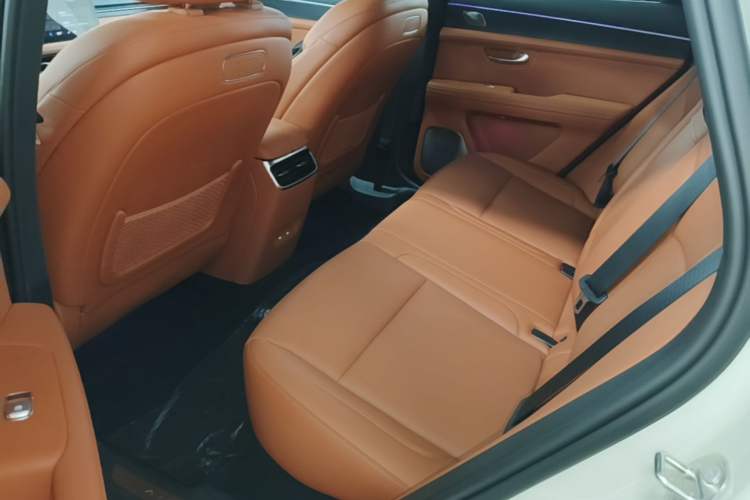 Used Hima AITO M5 2025 Extended-Range Ultra Rear-Wheel-Drive Version Left Rear Seat