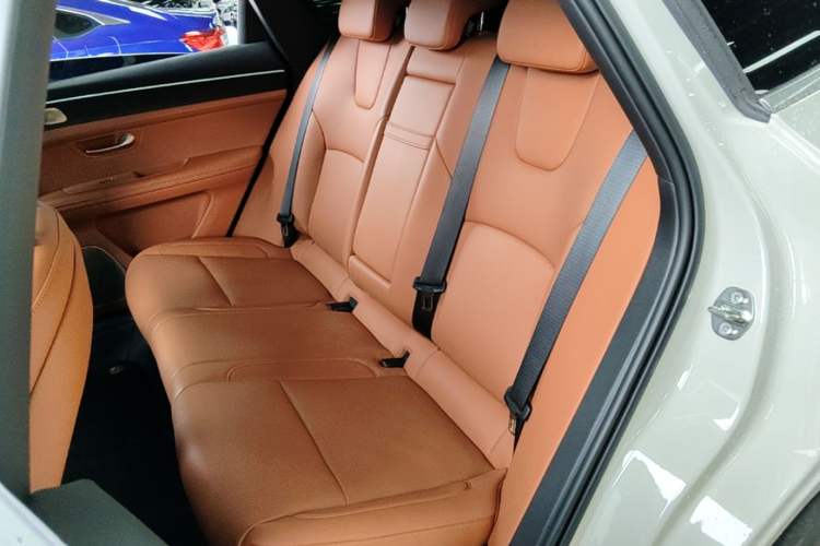 Used Hima AITO M5 2025 Extended-Range Ultra Rear-Wheel-Drive Version Left Rear Seat