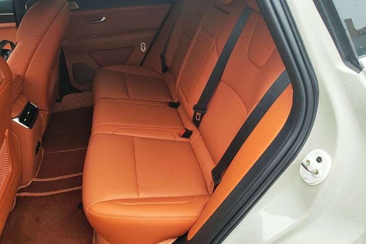 Used Hima AITO M5 2025 Extended-Range Ultra Rear-Wheel-Drive Version Left Rear Seat