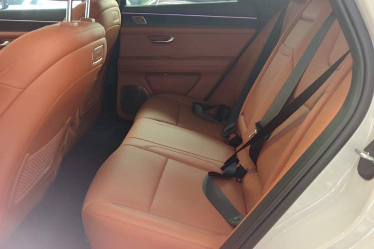 Used Hima AITO M5 2025 Extended-Range Ultra All-Wheel-Drive Version Left Rear Seat
