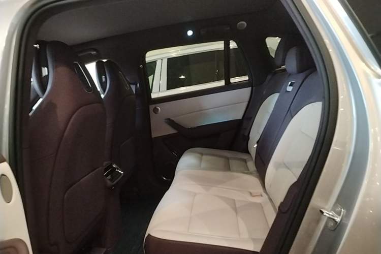 Used Hima AITO M6 2026 Model Range-Extended Max+ Four-Wheel Drive Left Rear Seat