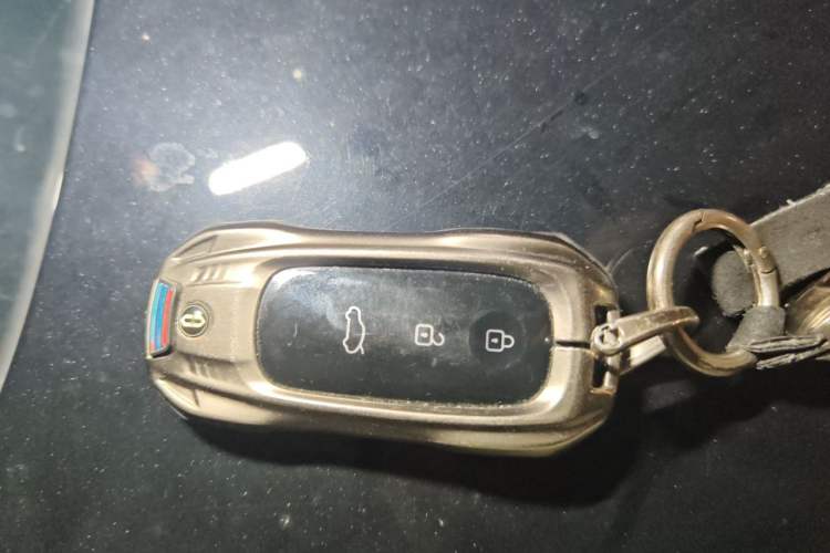Used Hima AITO M7 2022 1.5T Rear-Drive Comfort Edition Vehicle Key