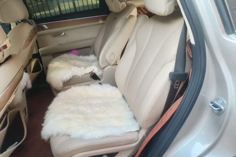 Used Hima AITO M7 2022 1.5T Rear-Drive Comfort Edition Left Rear Seat