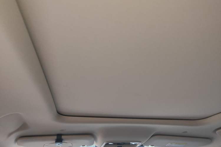 Used Hima AITO M7 2022 1.5T Rear-Drive Comfort Edition Headliner
