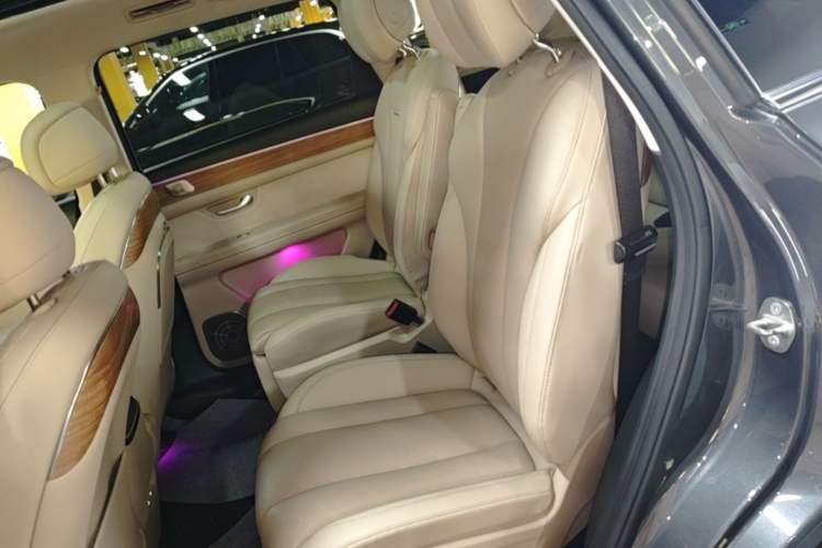 Used Hima AITO M7 2022 1.5T Four-Wheel Drive Luxury Edition Left Rear Seat
