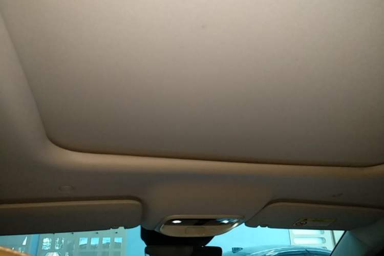 Used Hima AITO M7 2022 1.5T Rear-Drive Comfort Edition Headliner