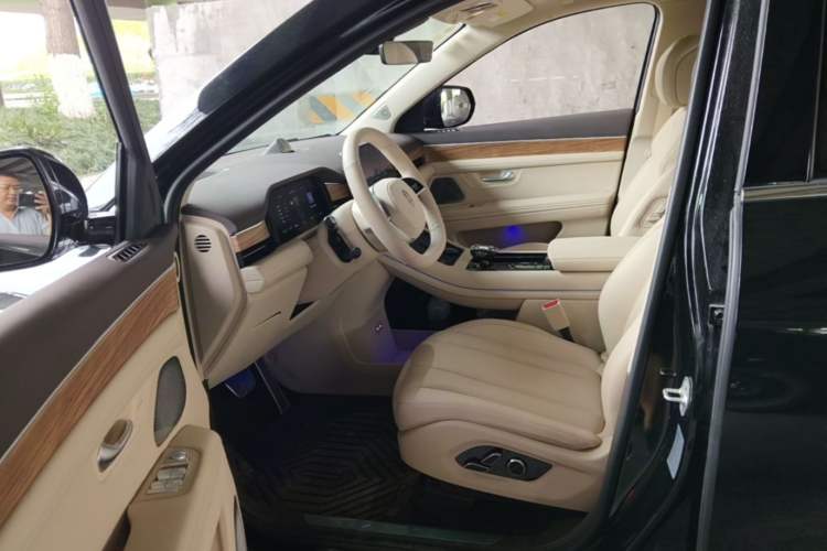 Used Hima AITO M7 2024 1.5T Intelligent Driving Rear-Drive Max Edition 5 Seats Left Front Seat
