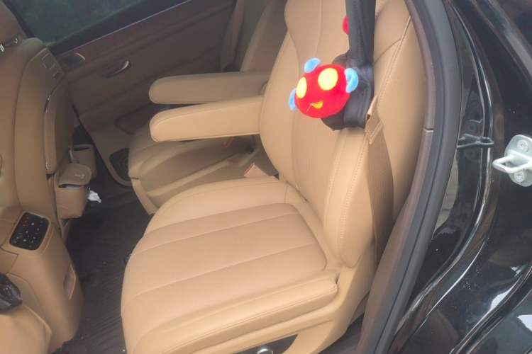 Used Hima AITO M7 2024 1.5T Intelligent Driving Rear-Drive Pro Version 6 Seats Left Rear Seat