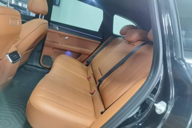 Used Hima AITO M7 2024 1.5T Intelligent Drive Rear-Drive Ultra Version 5 Seats Left Rear Seat