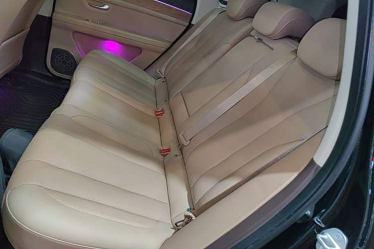 Used Hima AITO M7 2024 1.5T Intelligent Driving Rear-Drive Pro Version 5 Seats Left Rear Seat