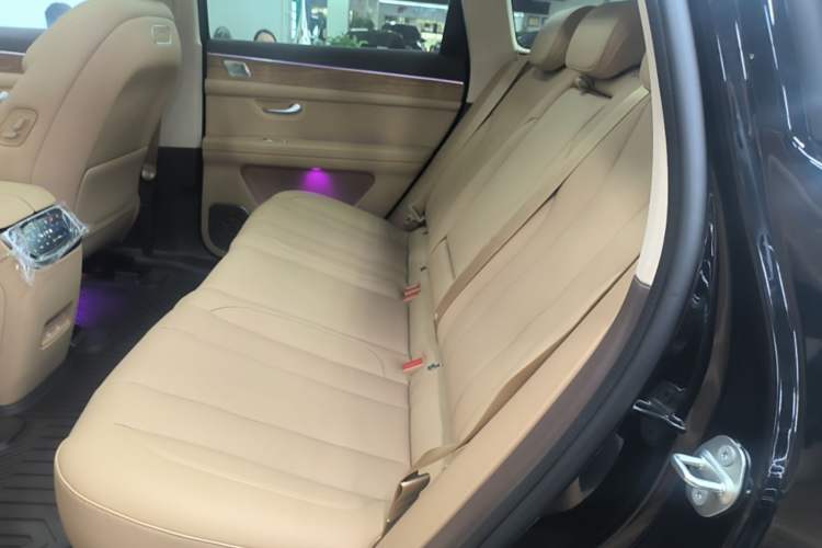 Used Hima AITO M7 2024 1.5T Intelligent Driving Rear-Drive Pro Version 5 Seats Left Rear Seat