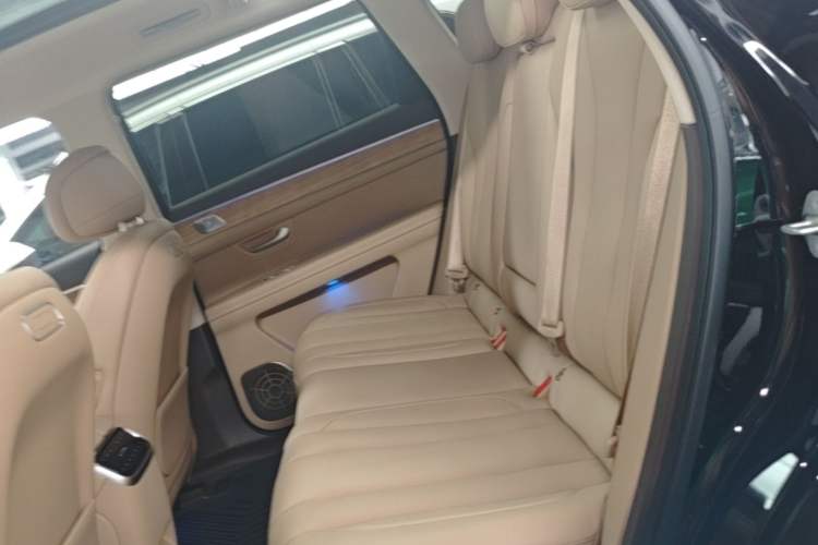 Used Hima AITO M7 2024 1.5T Intelligent Driving Rear-Drive Pro Version 5 Seats Left Rear Seat